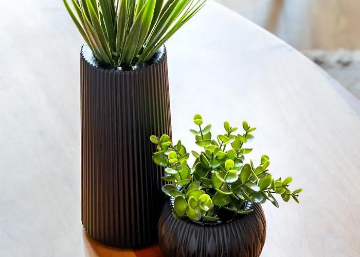 Aparthotel Pia Homes- Guemuessuyu 4*